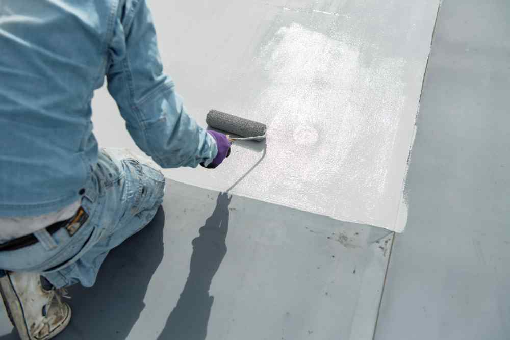 s-1000x667_v-fs_webp_3a10d160-f4bc-466d-b6df-0c2af806d767