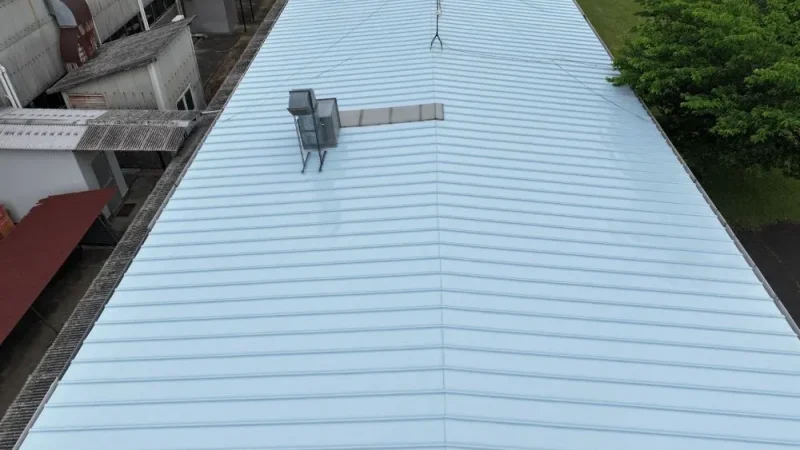 s-1000x749_v-fs_webp_2811a12d-00b6-45bd-b7e8-bf8e2f119b4a