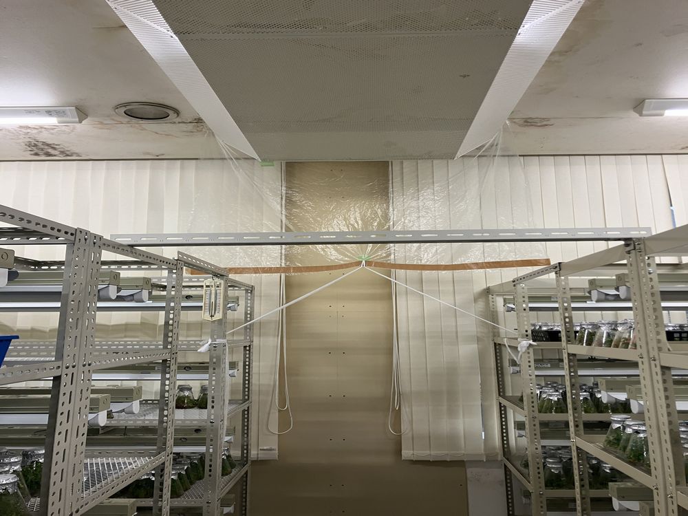 s-1000x750_v-fs_webp_0803b000-05b6-4d8a-a9fd-b0ab0410e5e7