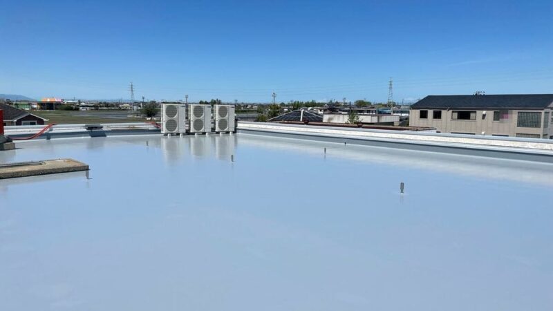 s-1000x750_v-fs_webp_1b582f25-635e-427c-b17f-edd6b8577a00