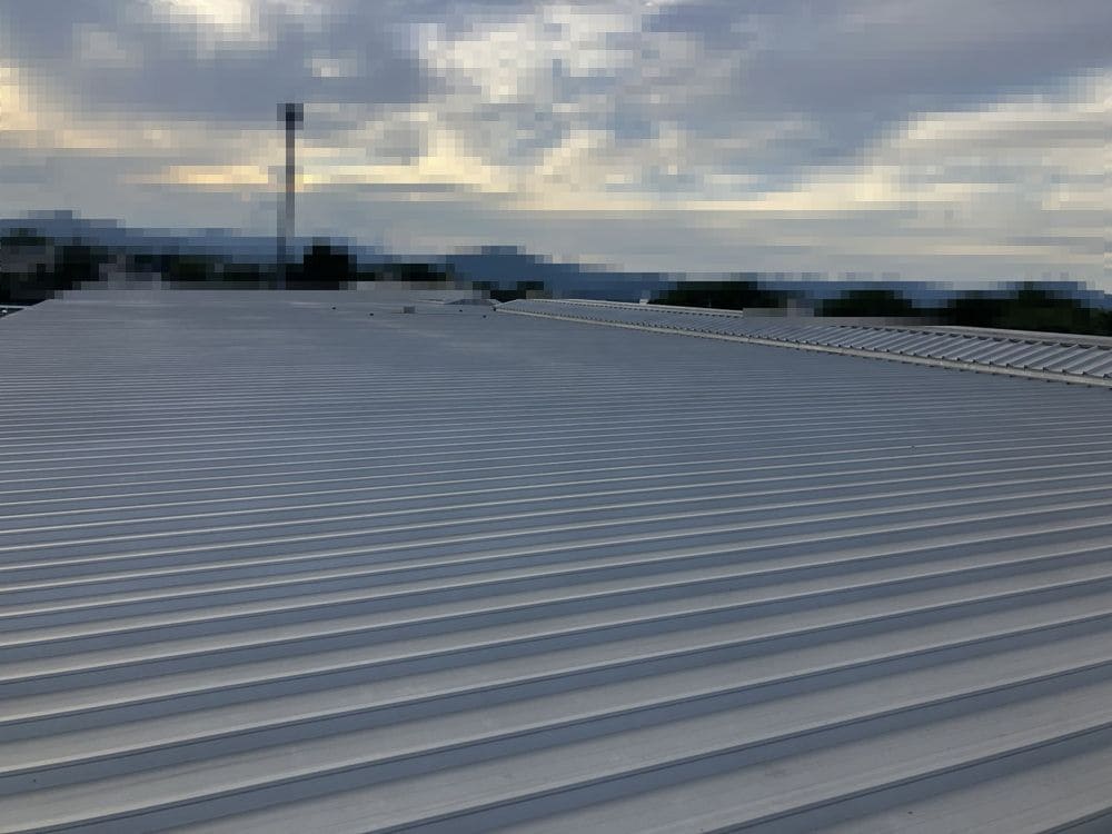 s-1000x750_v-fs_webp_5d689eb9-17f1-47e4-bd47-52328b137746