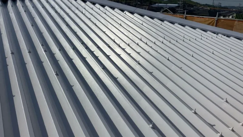 s-1000x750_v-fs_webp_777b3d15-d395-48a8-9bd6-d97d9b996094