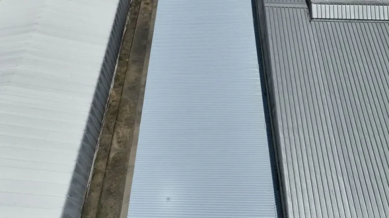 s-1000x750_v-fs_webp_a69aa63f-307e-4391-90bf-713f4ad70244