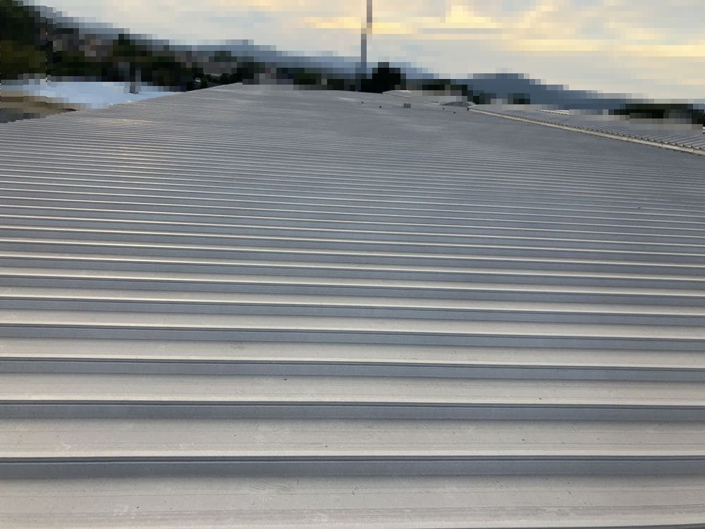 s-1000x750_v-fs_webp_e697e8f2-f9e3-474b-b75f-b7fa700b02dd