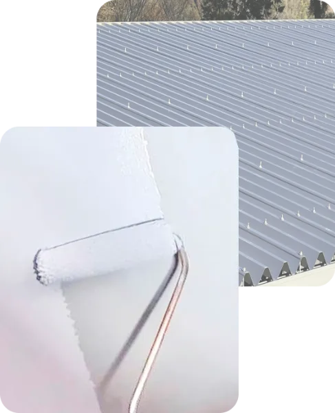 s-562x692_v-fs_webp_c34bf92e-8df5-42af-80ac-ccc6abc204e4_small