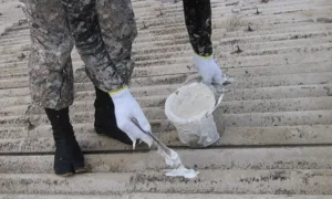 s-590x472_webp_320211e1-8f9f-46b6-8eec-d7a3e269eafb s-590x472_webp_320211e1-8f9f-46b6-8eec-d7a3e269eafb