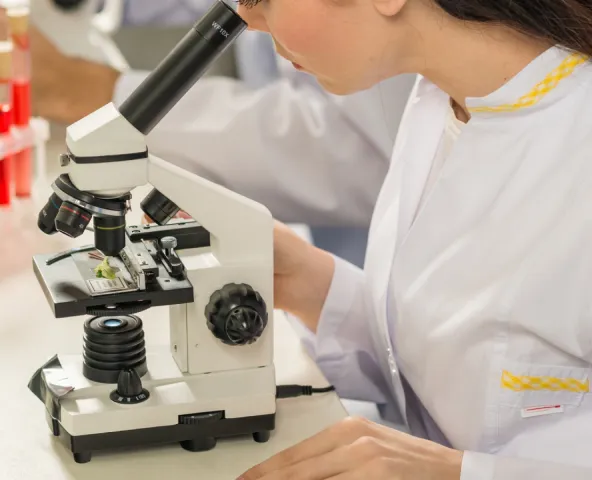 s-592x480_webp_27b23a38-1695-4c01-91f8-c61db808a5cf